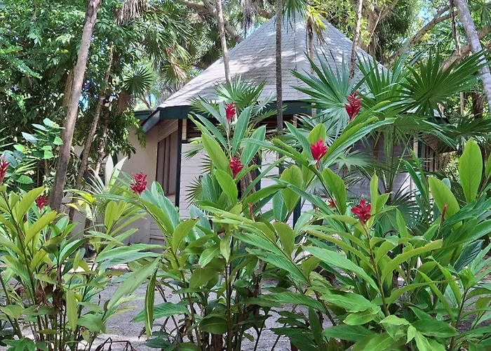 Jungle Cocoon Boutique Hotel