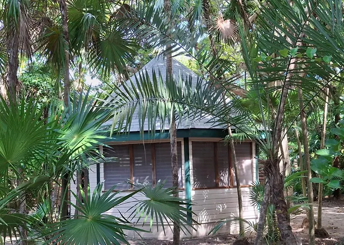 Jungle Cocoon Boutique Hotel